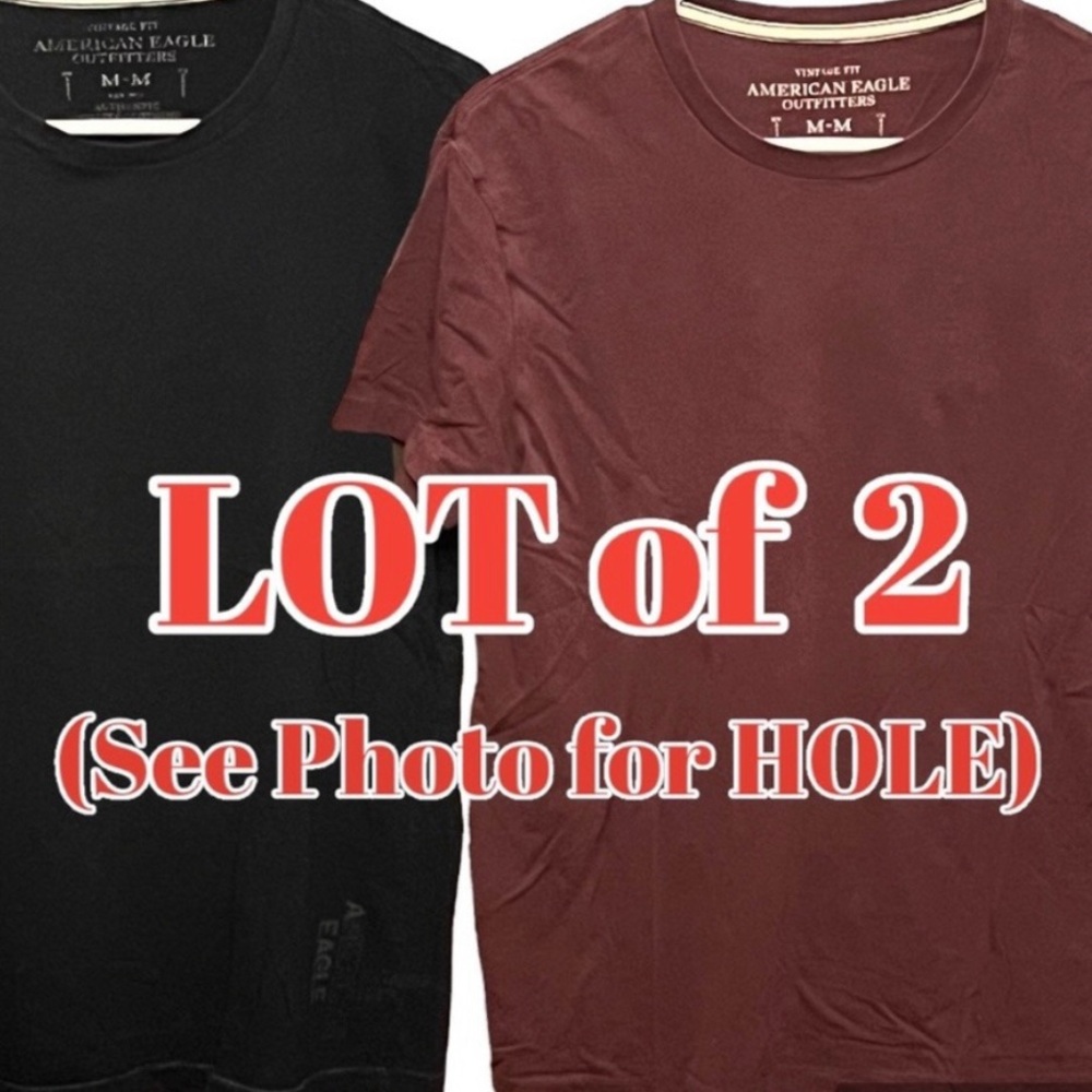 American Eagle Outfitters LOT x2 CREWNECK T-Shirts American Eagle TShirt Tees MD